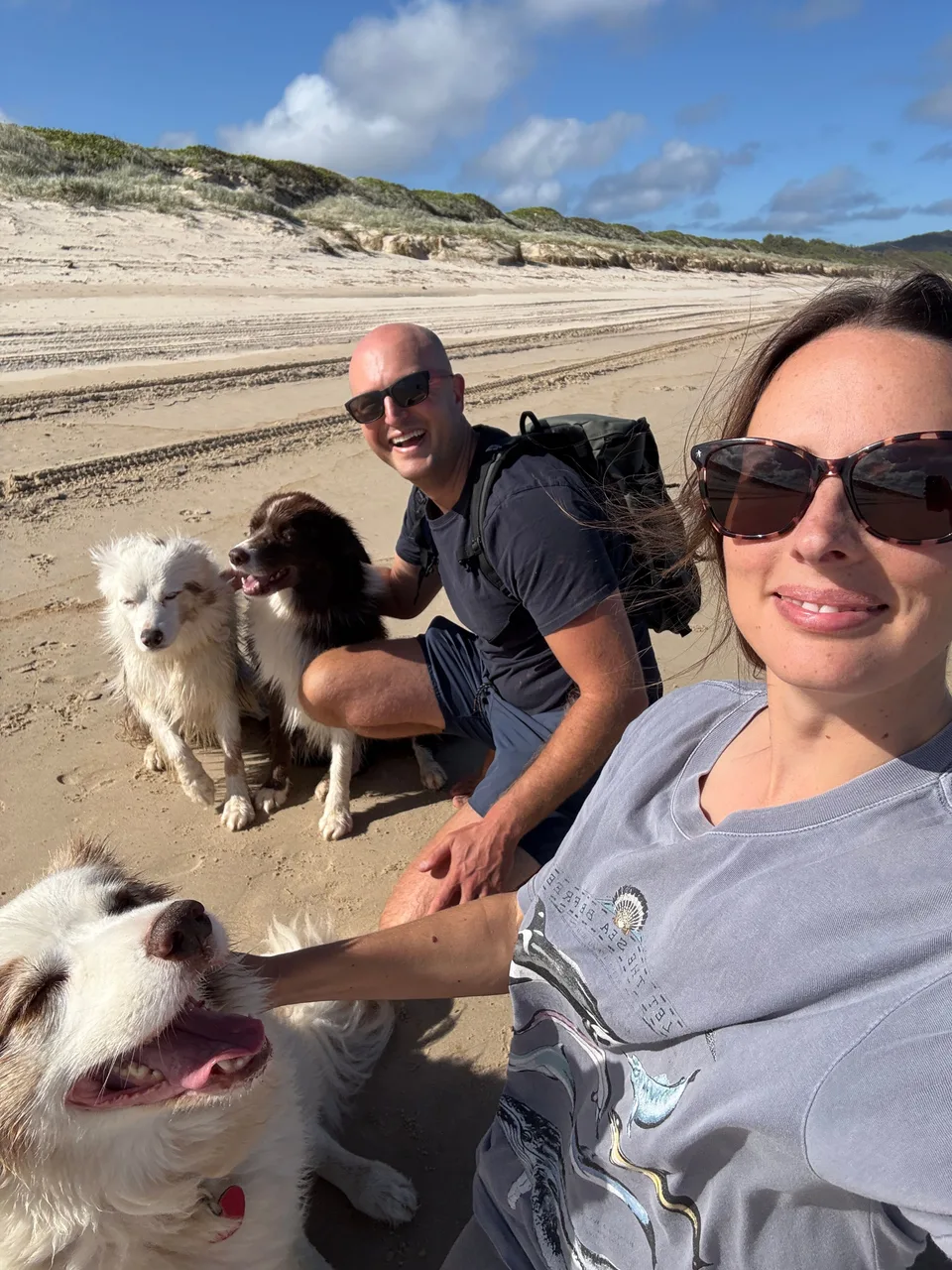 Kyle and Kelly with their dogs on a sunny beach