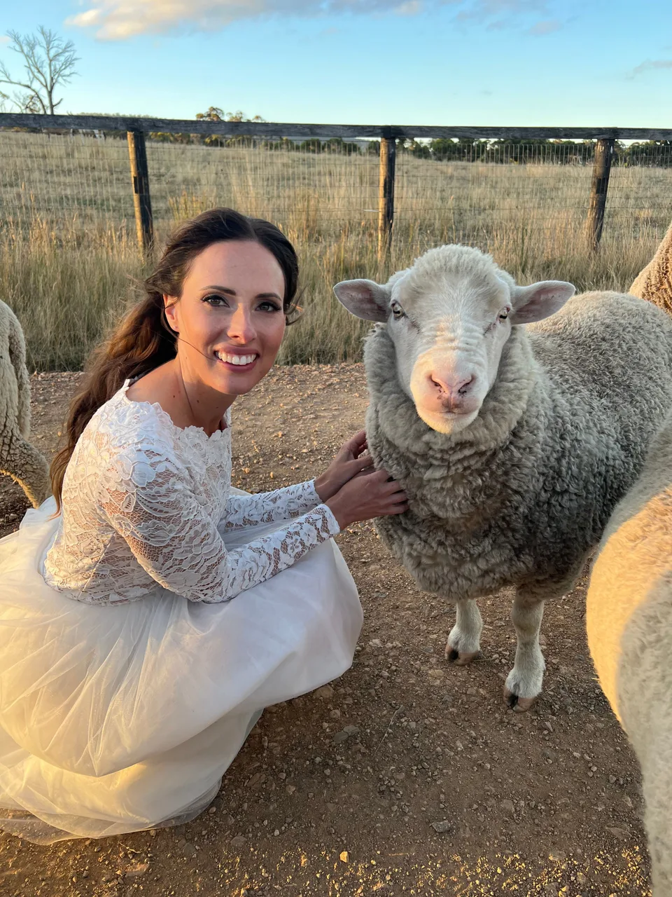 Kelly in her wedding dress crouching beside a woolly sheep in a paddock