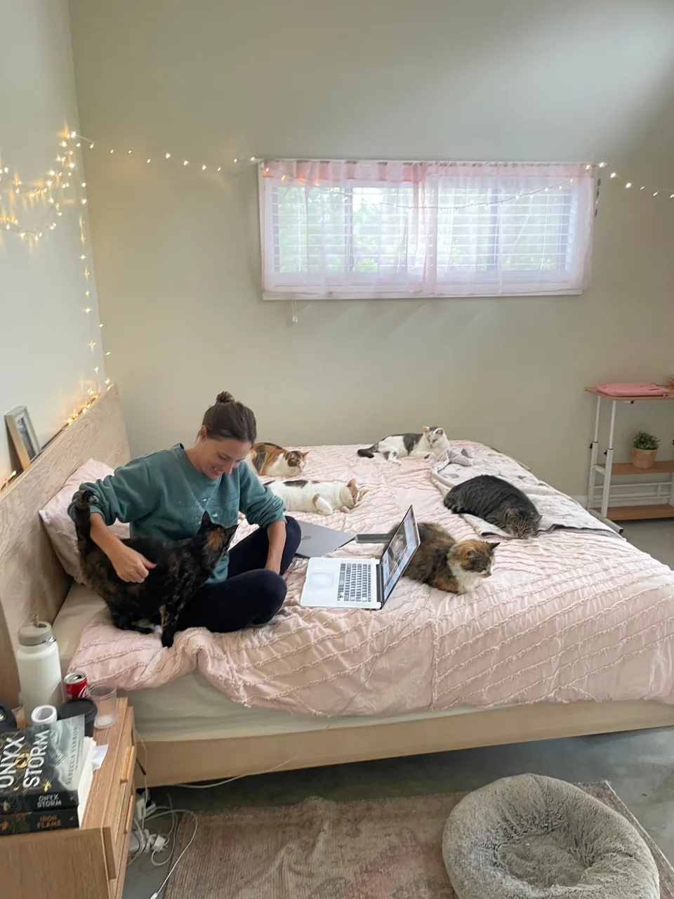 Kelly sitting on the edge of the bed with a dog, a laptop and cats nearby