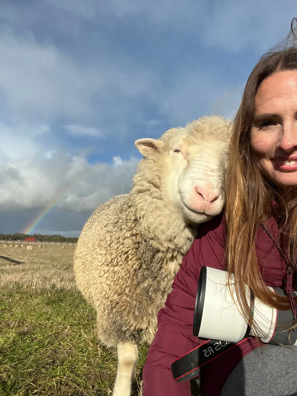 A sheep resting its face beside Kelly, with a rainbow in the background