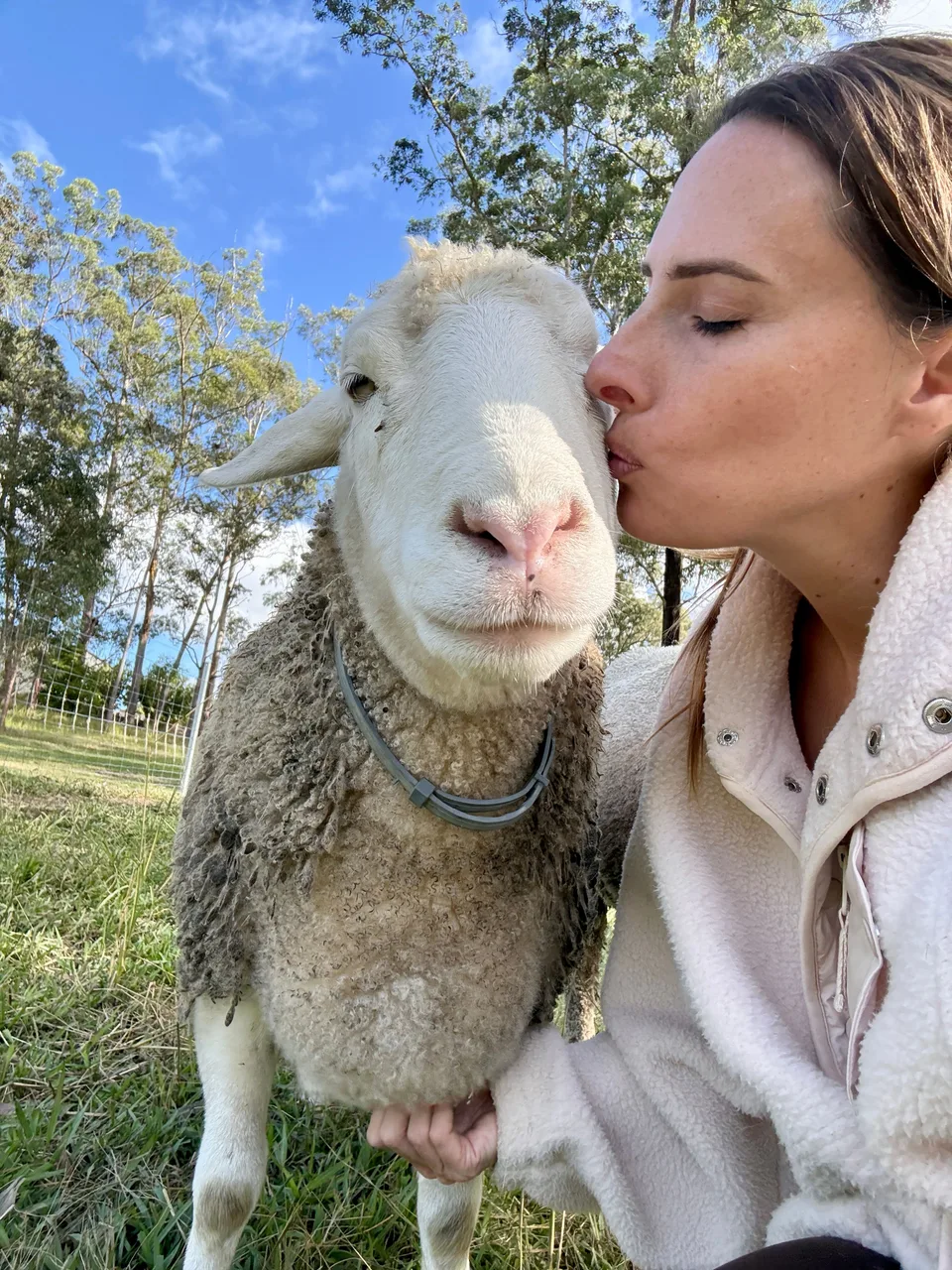 Kelly kissing a sheep on the side of the face