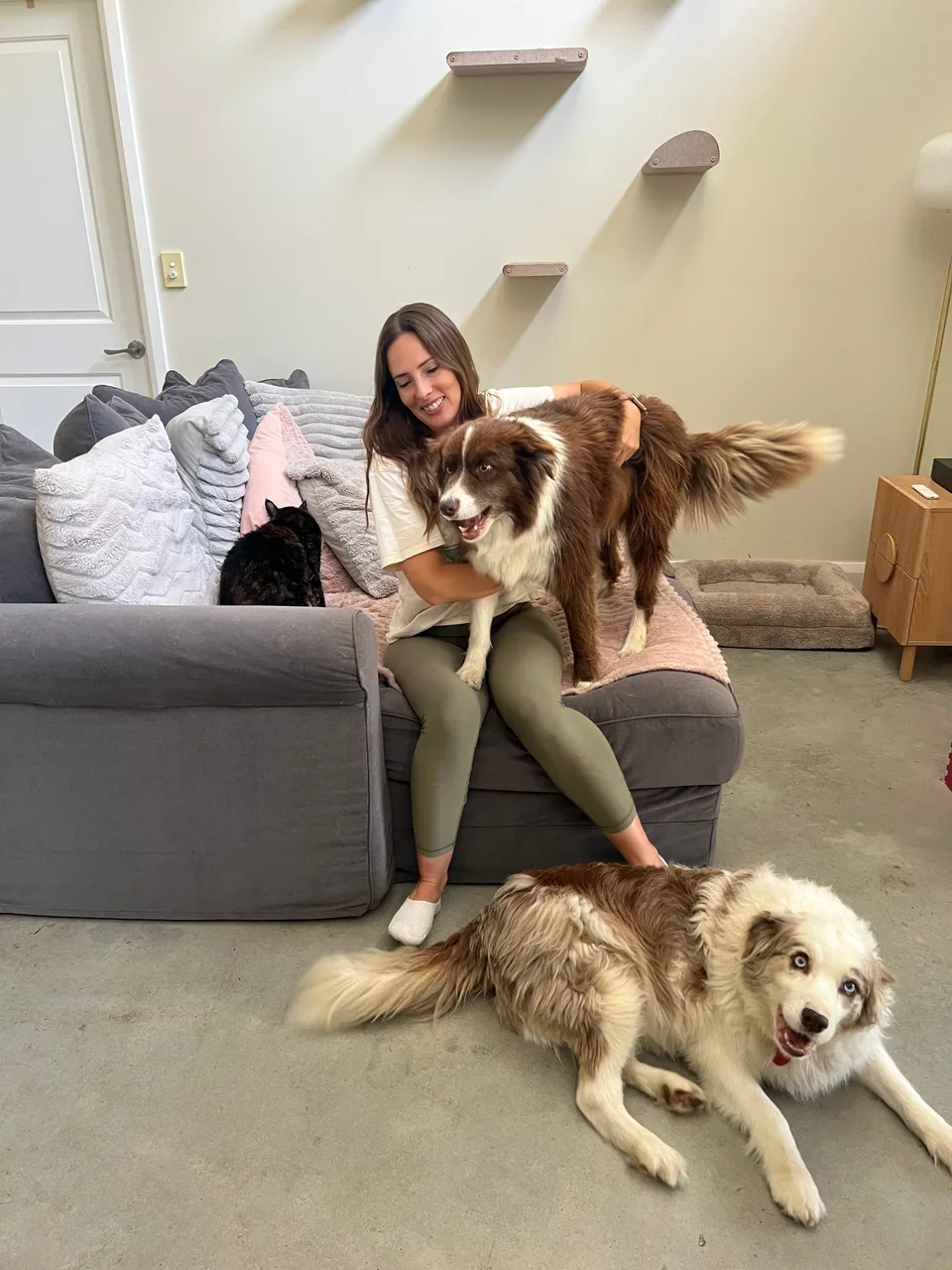 Kelly sitting on the sofa with dogs gathered around her