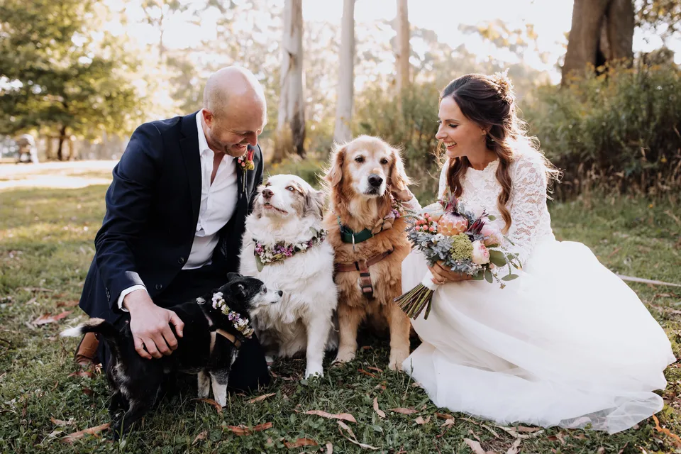 Kyle and Kelly in wedding clothes with two dogs wearing floral collars